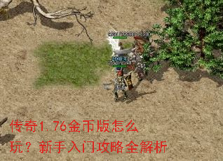 传奇1.76金币版怎么玩?新手入门攻略全解析 传奇1.76金币版怎么玩?新手入门攻略全解析