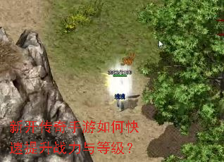 新开传奇手游如何快速提升战力与等级? 新开传奇手游如何快速提升战力与等级?