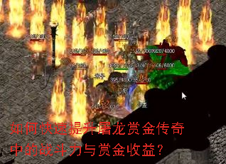如何快速提升屠龙赏金传奇中的战斗力与赏金收益? 如何快速提升屠龙赏金传奇中的战斗力与赏金收益?