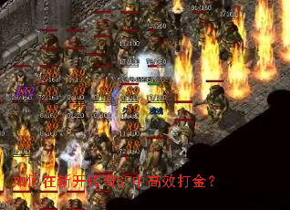 如何在新开传奇SF中高效打金? 如何在新开传奇SF中高效打金?