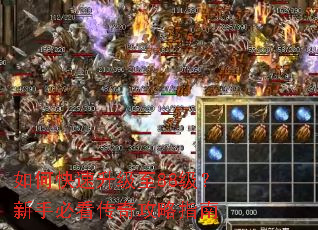 如何快速升级至88级?新手必看传奇攻略指南 如何快速升级至88级?新手必看传奇攻略指南