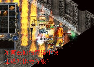 如何在仙侣奇缘中快速提升修为等级? 如何在仙侣奇缘中快速提升修为等级?