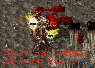 单职业传奇私服中,如何快速提升角色战斗力与装备获取? 单职业传奇私服中,如何快速提升角色战斗力与装备获取?