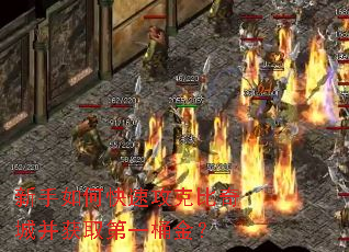 新手如何快速攻克比奇城并获取第一桶金? 新手如何快速攻克比奇城并获取第一桶金?