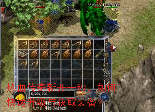 ��Ѫ�����¿�һ�룬��ο����������ȡװ����