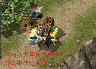菜鸟战士如何在传奇游戏中快速变强? 菜鸟战士如何在传奇游戏中快速变强?