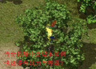 传奇私服中变版本如何快速提升战力与等级? 传奇私服中变版本如何快速提升战力与等级?