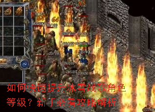 如何快速提升冰雪战歌角色等级?新手必看攻略解析 如何快速提升冰雪战歌角色等级?新手必看攻略解析