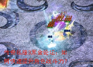 传奇私服3黑金论坛:如何快速提升角色战斗力? 传奇私服3黑金论坛:如何快速提升角色战斗力?